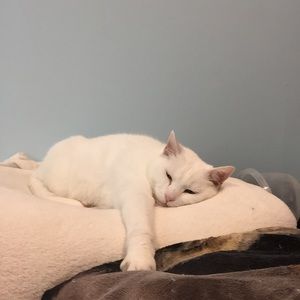 Meet your Posher, Briann